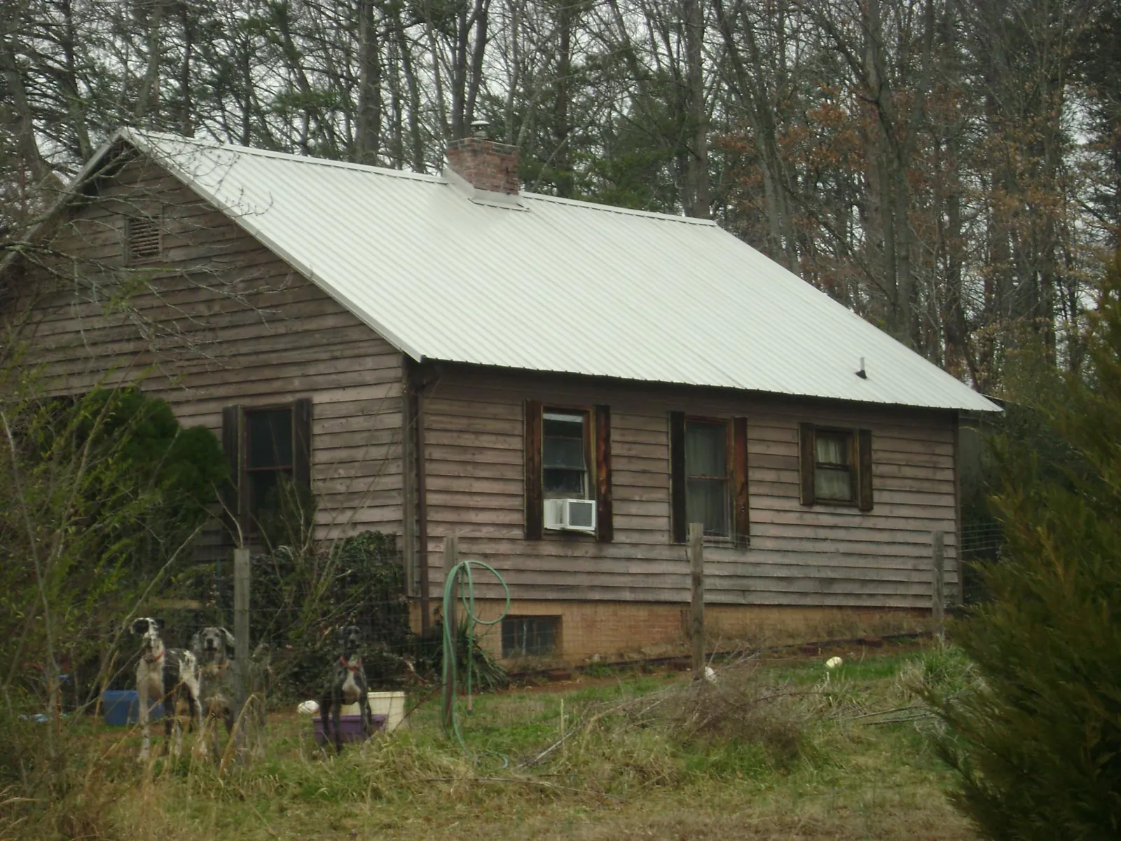 White metal roof on an old wood sided farmhouse, from a Asphalt Shingle Roof Repair job in Wapello